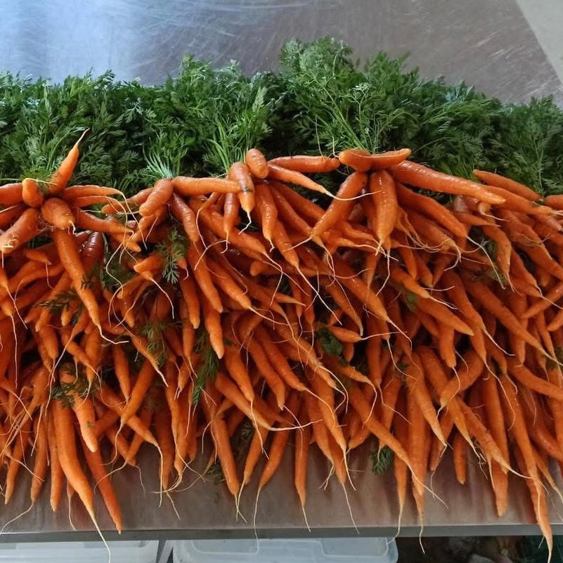 Mrkva mlada s lišćem kom (250 g)