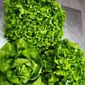 Salata mix u vrećici kom (300g)