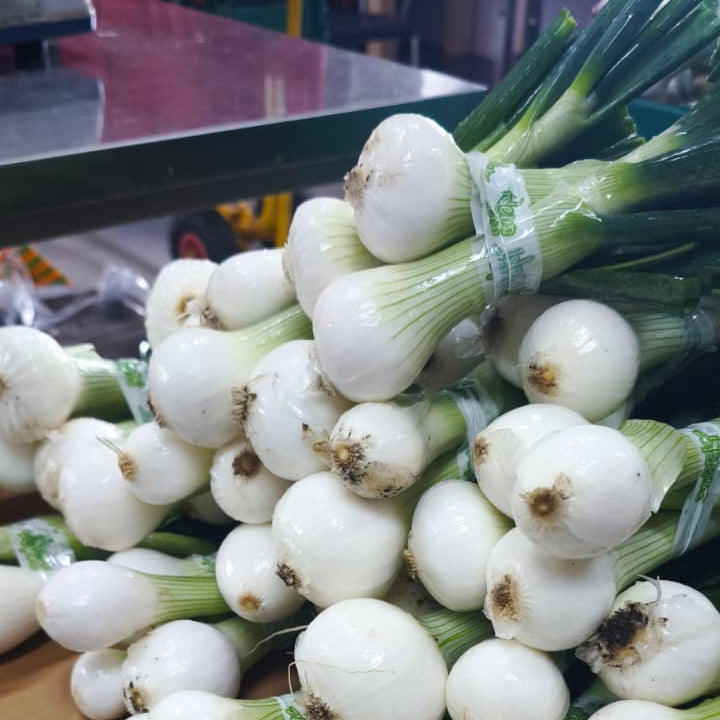Luk srebrenac mladi kom (500 g)