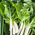 Blitva srebrna kom (250 g)