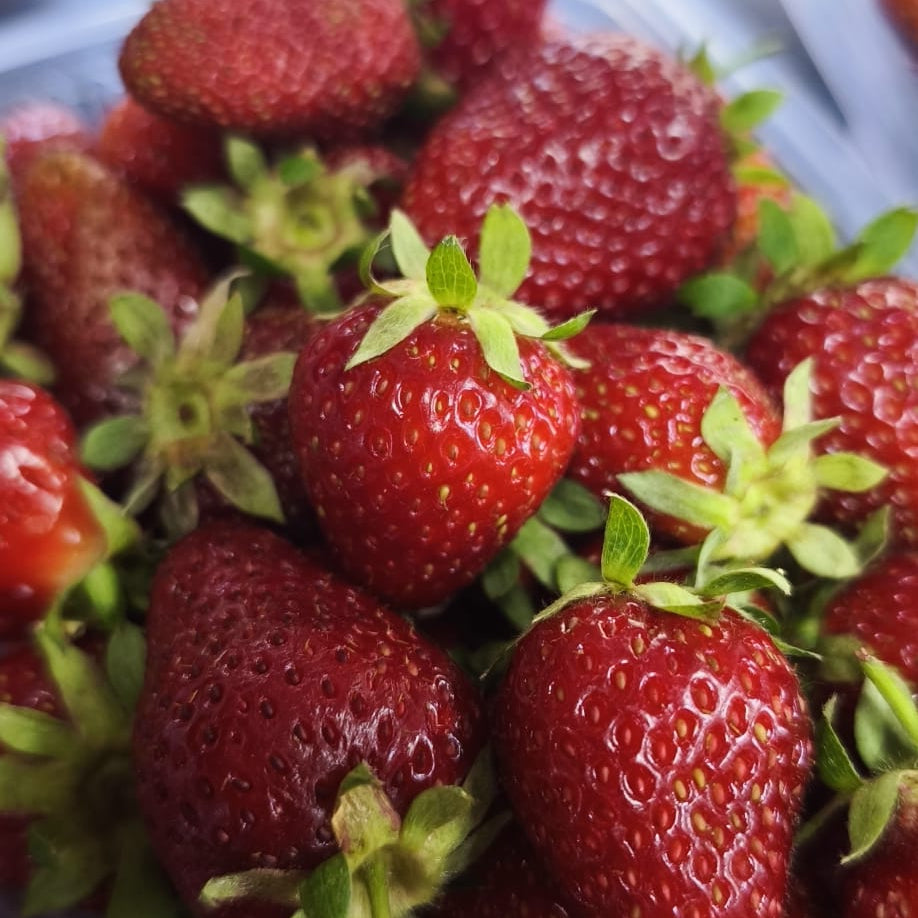 Jagode kom (500 g)