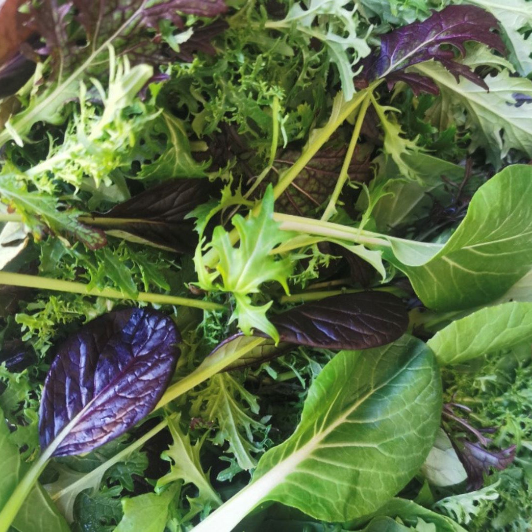 Salata Azijski mix kom (125g)